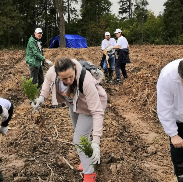 Представители Минсельхозпрода Московской области приняли участие в акции «Наш лес. Посади свое дерево»