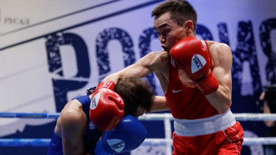Боксеры из Подмосковья завоевали золото и серебро на чемпионате России