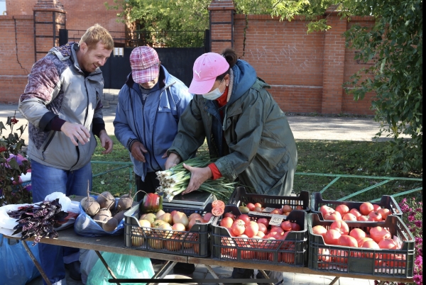 Традиционные ярмарки «Дары Подмосковья» начали работать в Московской области