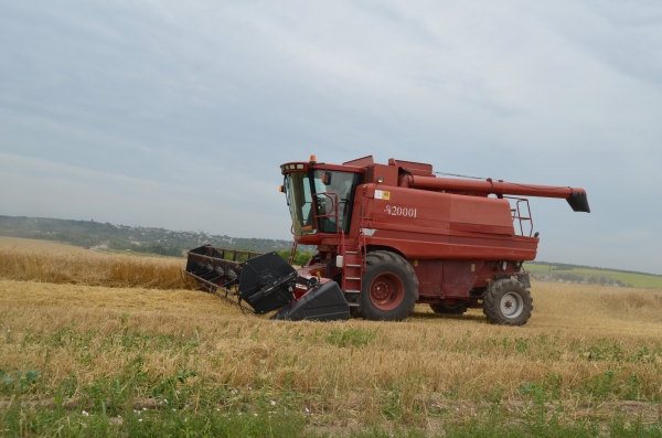 Сбор урожая озимых зерновых культур подходит к завершению в Подмосковье, убрано порядка 95 %