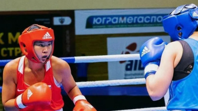 Боксеры из Подмосковья завоевали 7 медалей на всероссийских соревнованиях в Ярославле