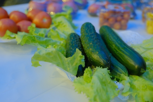 Более 90 тыс. тонн овощей собрали в теплицах Подмосковья с начала года