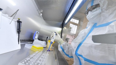 В Подмосковье за сутки выявили 2208 случаев коронавируса