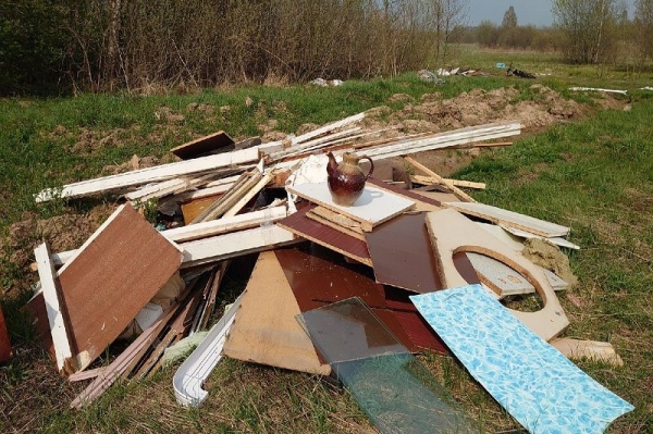 Житель Дубны выбросил старую мебель на опушку леса