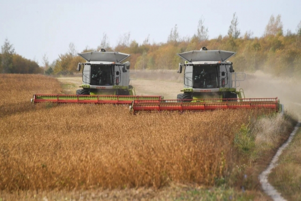 Первые 2,5 тыс. га пшеницы засеяли в Подмосковье