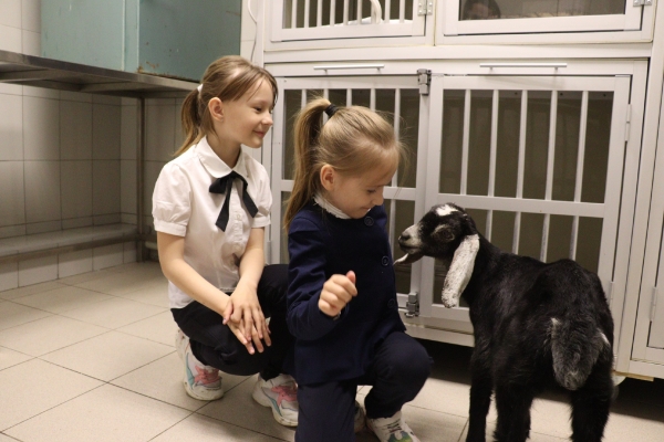 В преддверии дня защиты детей ветеринарные врачи Подмосковья провели экскурсию для школьников