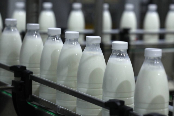 В Подмосковье выросло производство молока