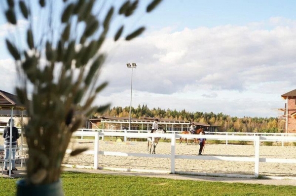В Черноголовке появится комплекс для развития конного спорта России