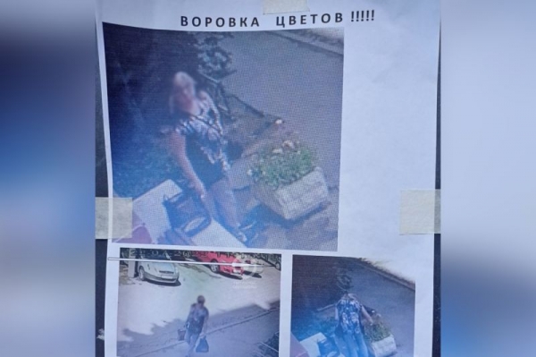 Фото женщины, укравшей цветы с клумбы, расклеили на улицах Одинцова