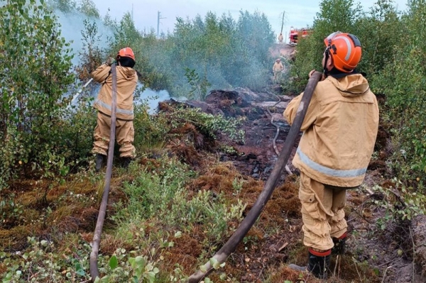 Лесные пожарные из Подмосковья, помогавшие тушить огонь в Рязанской области, рассказали о судьбе местных животных