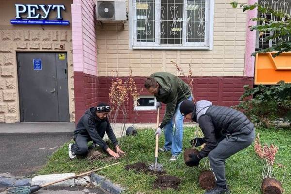 Более 30 кустарников высадили журналисты Реутова