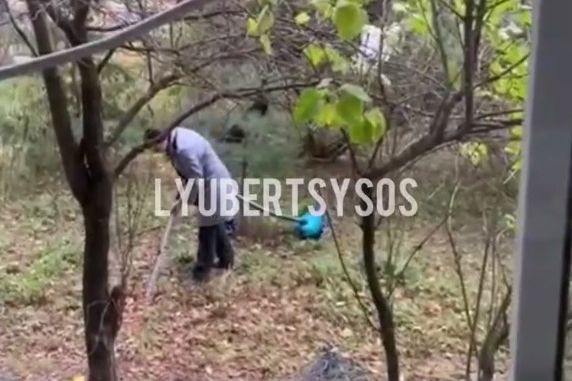 Пылесосившая газон женщина удивила соседей в Люберцах
