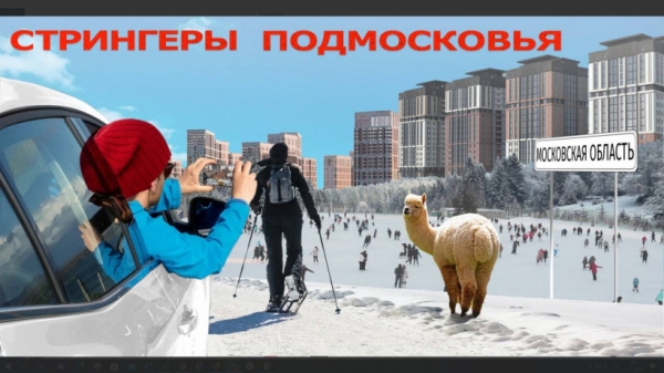 В Подмосковье, в том числе в городском округе Солнечногорск, стартует проект «Стрингеры»!