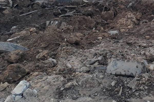 Более четырехсот миллионов рублей составил ущерб, нанесенный почвам в подмосковном Солнечногорске