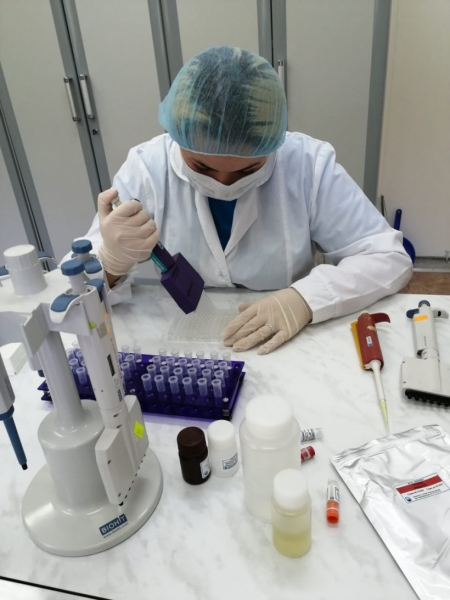 Более 18 тыс. исследований на птичий грипп проведено в Московской области с начала 2020 года